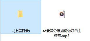 录音分享如何做好自主经营.rar