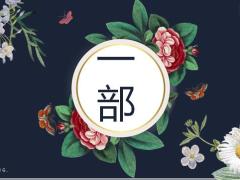森系产品发布PPT模板26页.pptx