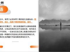新华保险2020年8月十大赔案13页.ppt
