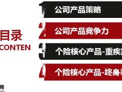 信泰个险产品策略竞争力重疾终身寿篇63页.pptx