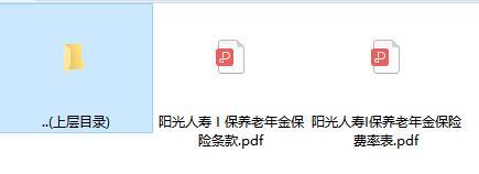 阳光人寿I保养老年金保险条款费率表.rar
