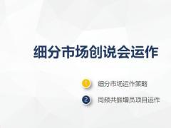 精细化创说会运作系统系列课程之三市场运作策略增员项目运19页.pptx