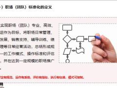 职场标准化建设定位价值五大系统概要组建运作49页.pptx