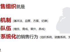 销售的组织与运作48页.pptx