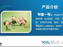 横琴琴童一号终身重大疾病保险产品介绍运营规则QA17页.pptx