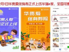 华贵爱四大亮点投保演示规则案例17页.pptx