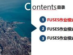 渠道业务FUSES作业模式概述解析支撑28页.pptx