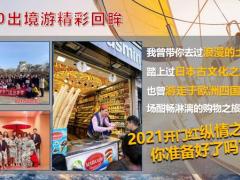 2021牛年开门红方案发布宣导65页.pptx