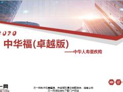 中华人寿重疾险卓越版产品要素保险责任21页.pptx