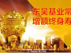 东吴基业常青增额终身寿险开发背景产品介绍投保案例运营规则36页.pptx