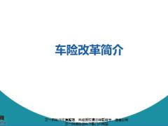 车险改革简介26页.pptx