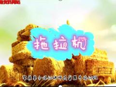 视频晨操拖拉机手语舞.rar