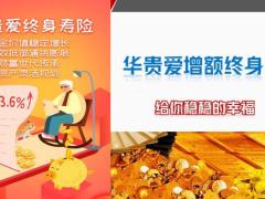 华贵爱终身寿产品解读31页.pptx