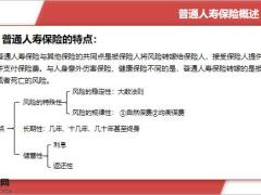 普通人寿保险概述险种28页.pptx