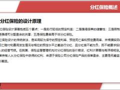 分红保险概述红利分配案例解析29页.pptx