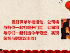 保单年检助力蓄客开门红一17页.pptx
