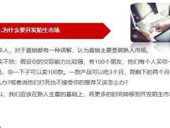保险新人如何开发陌生市场13页.pptx