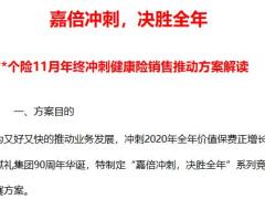 个险11月年终冲刺健康险销售推动方案解读8页.pptx