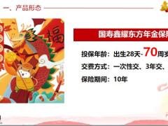 国寿鑫耀东方产品形态图解FABE逻辑12页.pptx