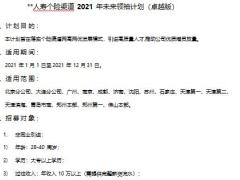 个险渠道2021年未来领袖计划卓越版6页.pptx
