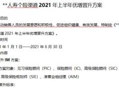 个险渠道2021年上半年优增晋升方案2页.pptx