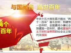 国寿鑫耀东方产品介绍基本形态39页.pptx