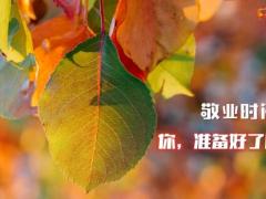 2020秋季早会流程10页.ppt