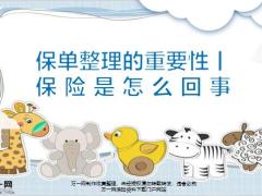 保单整理的重要性保险是怎么回事32页.pptx