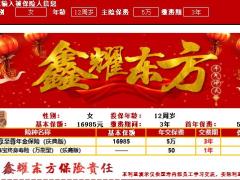 国寿鑫耀东方鑫缘宝自动计划书.xlsx