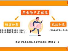 富德生命如意宝产品组合要素责任优势案例64页.pptx