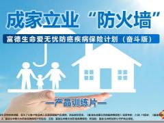 富德生命爱无忧防癌疾病保险计划奋斗版成家立业防火墙23页.pptx