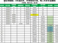 国寿鑫耀东方利益验算模型.xlsx