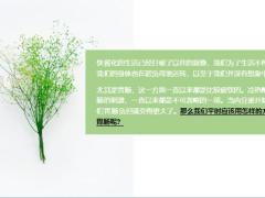 每日健康一个桂圆一把花椒专治胃病用一个好一个12页.ppt
