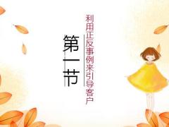 保险推销技巧尽量杜绝人们犯忌讳25页.pptx