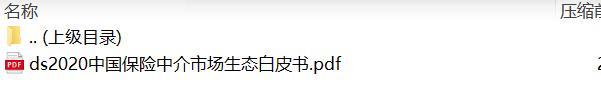 2020中国保险中介市场生态白皮书.rar