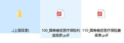 国寿癌症医疗保险利益条款费率表.rar