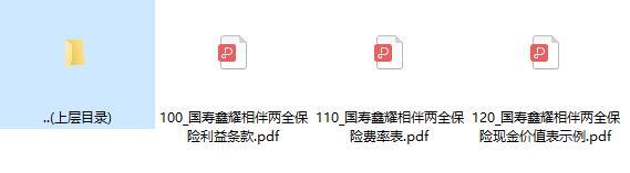 国寿鑫耀相伴两全保险利益条款费率表现金价值表示例.rar