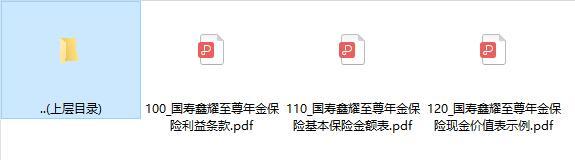 国寿鑫耀至尊年金保险利益条款费率表现金价值表示例.rar