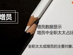 增员全职太太的原因方法16页.pptx