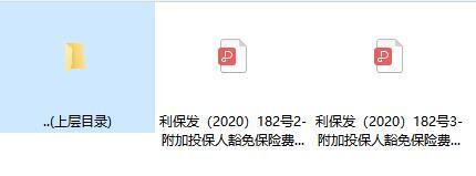 利安人附加投保人豁免保险费重大疾病保险条款费率表.rar