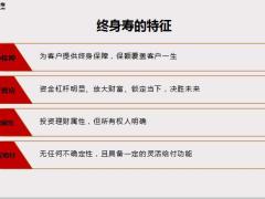 国华传世福终身寿险产品背景亮点形态案例演示29页.pptx