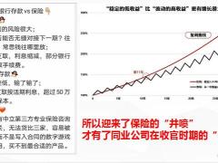 长生福寿长产品特色组合策略介绍45页.ppt