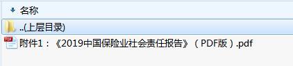 2019中国保险业社会责任报告PDF版.rar