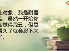 每日快乐早会20年10月23日使用12页.pptx