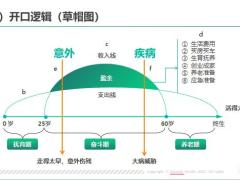 国寿33项销售逻辑产品组合与建议书讲解销售逻辑12页.pptx
