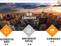 项目型业务开拓的意义名单整理优选33页.pptx
