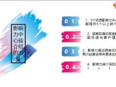 影响力中心转介绍的力量帮您打造个人保险IP20页.pptx