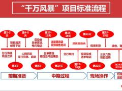 项目运作八大关键环节30页.pptx