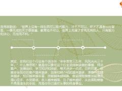 做保险成功的秘诀17页.pptx