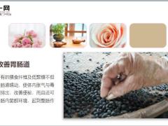 每日健康想长寿吃黑豆一点不夸张10页.ppt